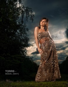 "Beauty in the Storm"