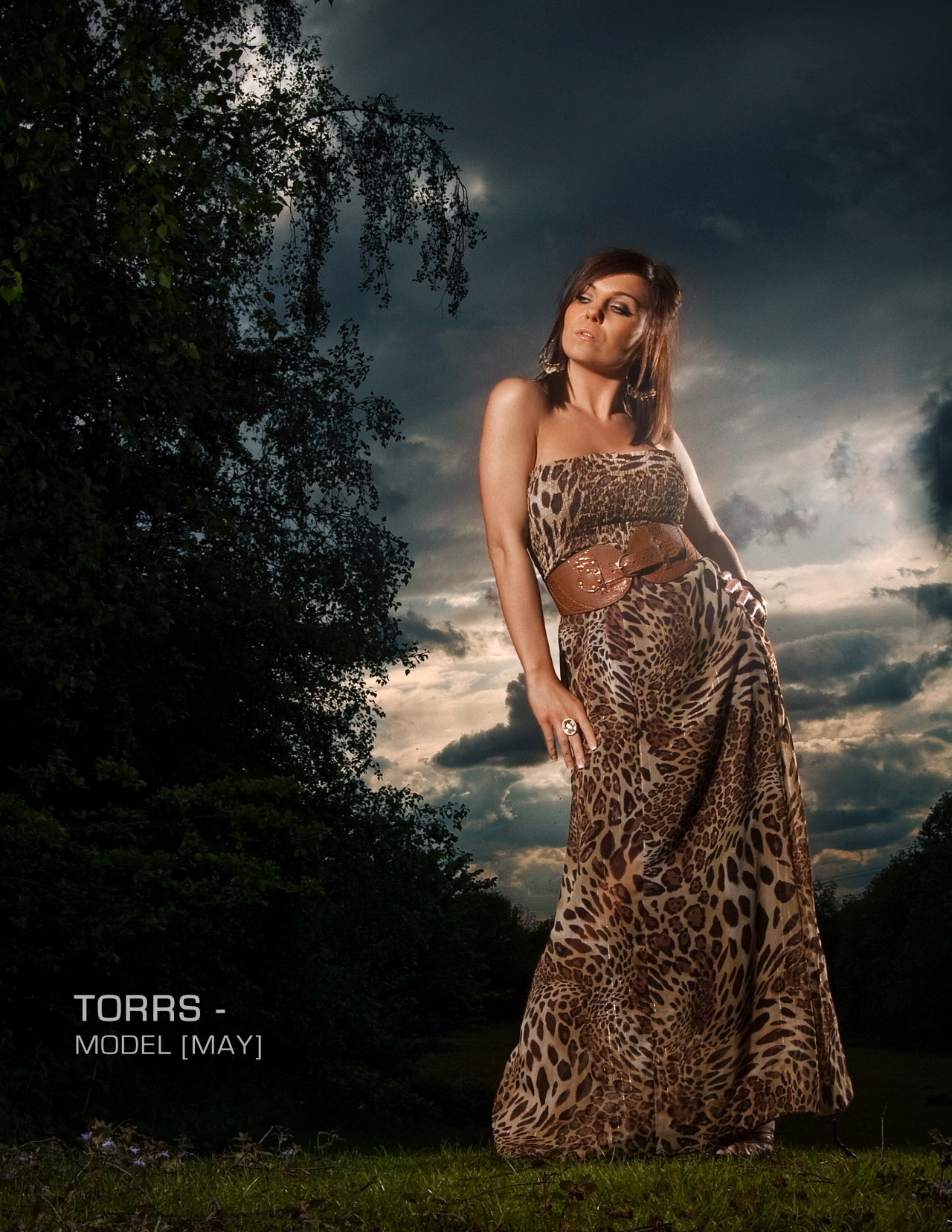 "Beauty in the Storm"